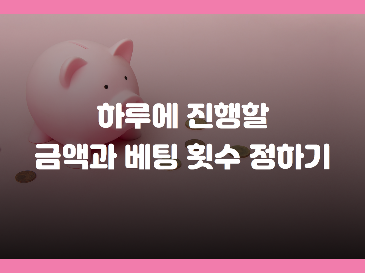 하루에 진행할 금액과 베팅 횟수 정하기